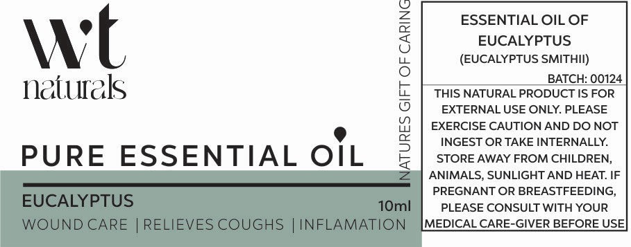 EUCALYPTUS Essential Oil | 10ml | Eucalyptus Smithii