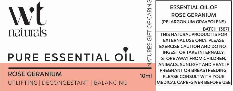 ROSE GERANIUM Essential Oil | 10ml | Pelargonium Graveolens