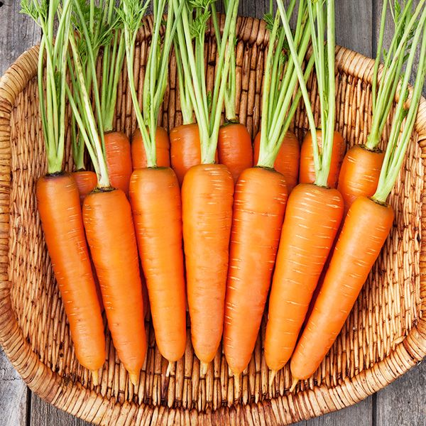 CARROT (Face + Body Bar) - Pumpkinseed, Carrot, Calendula + Honey Goat Milk Soap