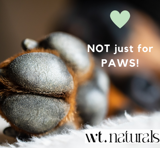 PAW BALM - Beeswax Balm for Pets (Not just for Paws!)