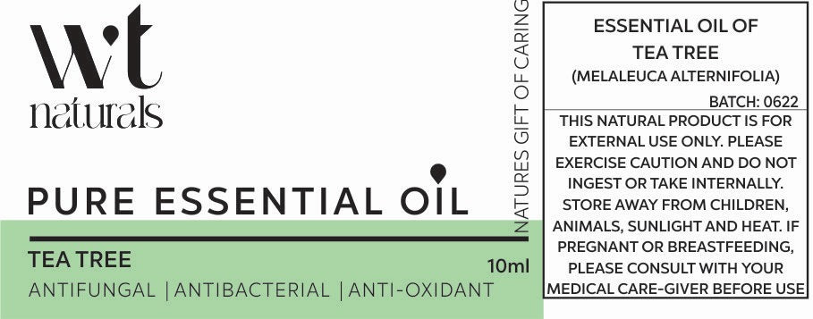 TEA TREE Essential Oil | 10ml- Melaleuca alternifolia Oil