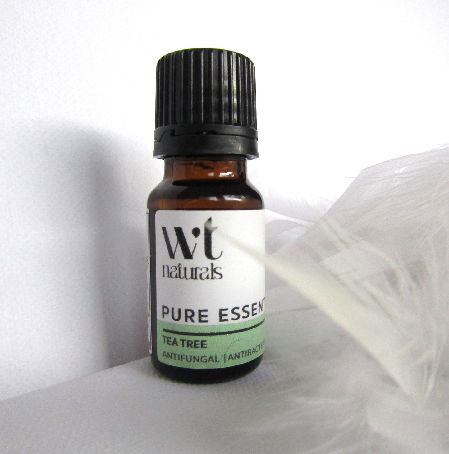 TEA TREE Essential Oil | 10ml- Melaleuca alternifolia Oil