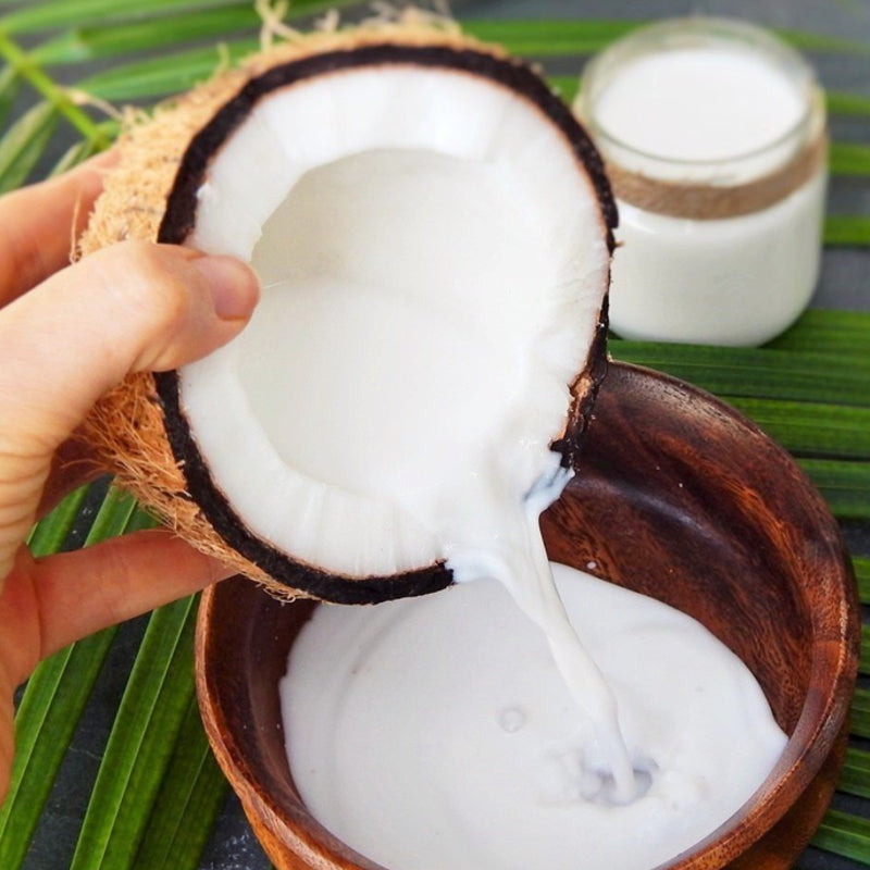 DETOX BAR - Coconut Milk Soap with Charcoal